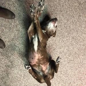 Meet your Posher, Tara